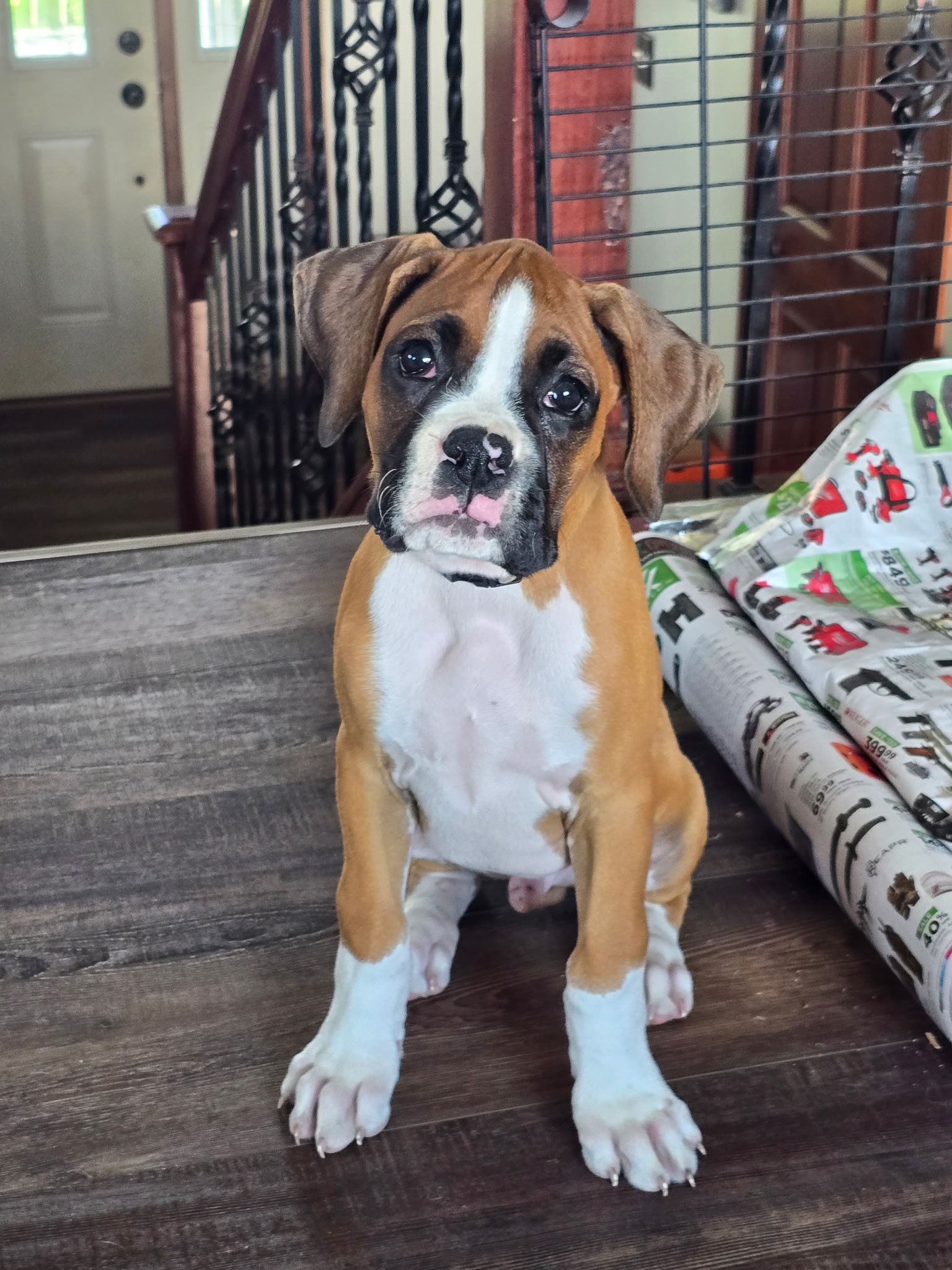 Tyson Photo