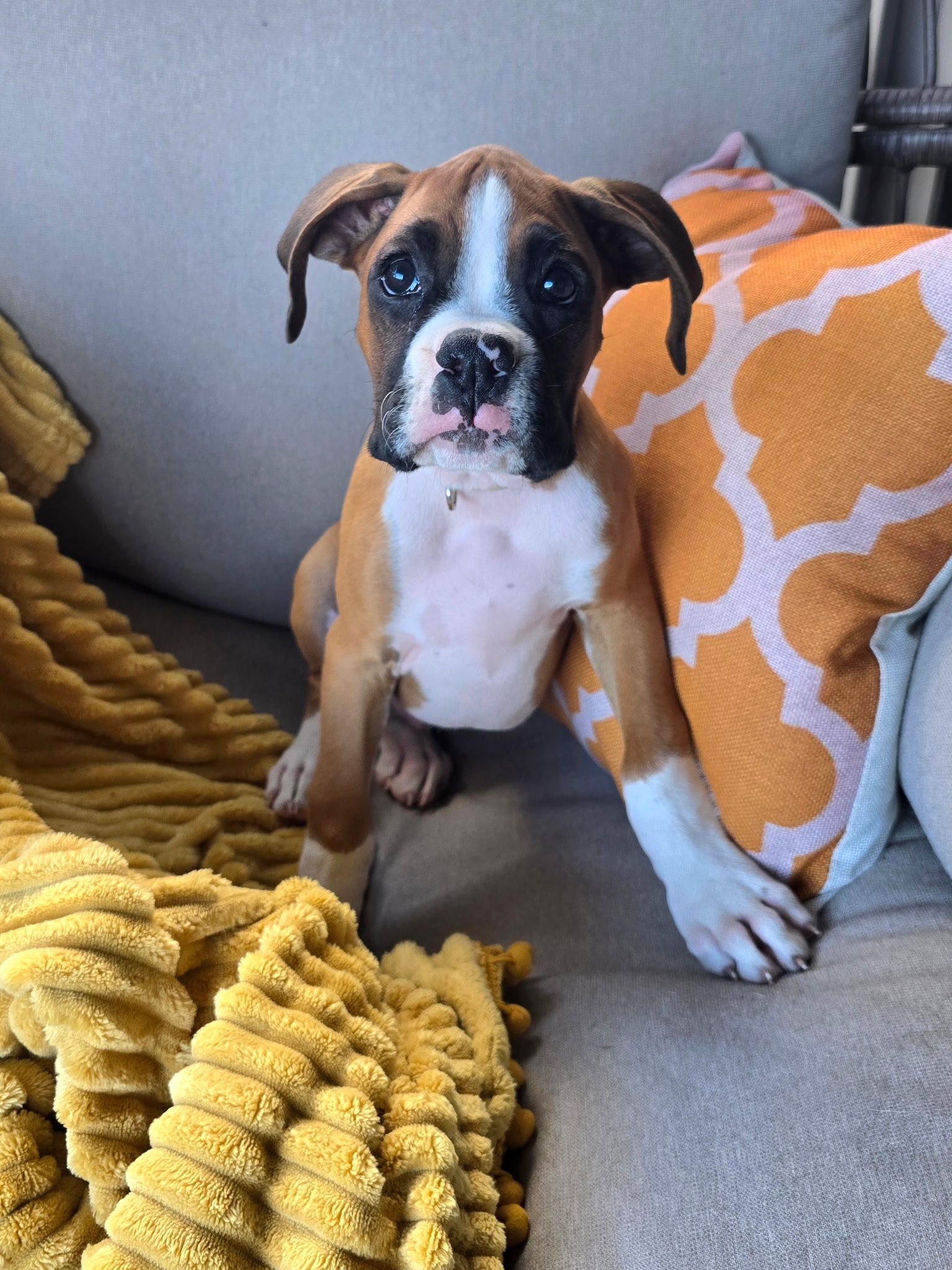 Tyson Photo