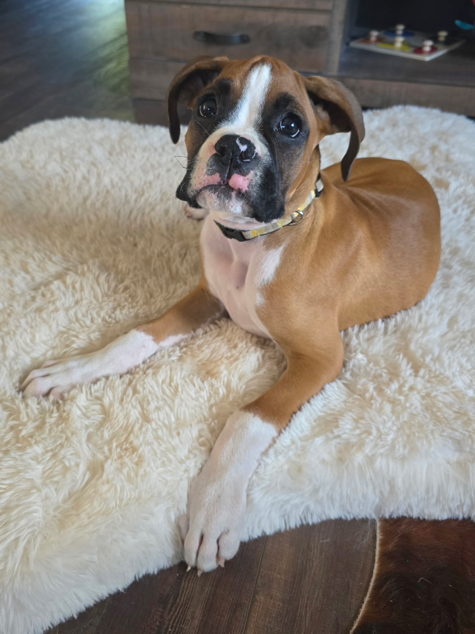 Tyson Photo