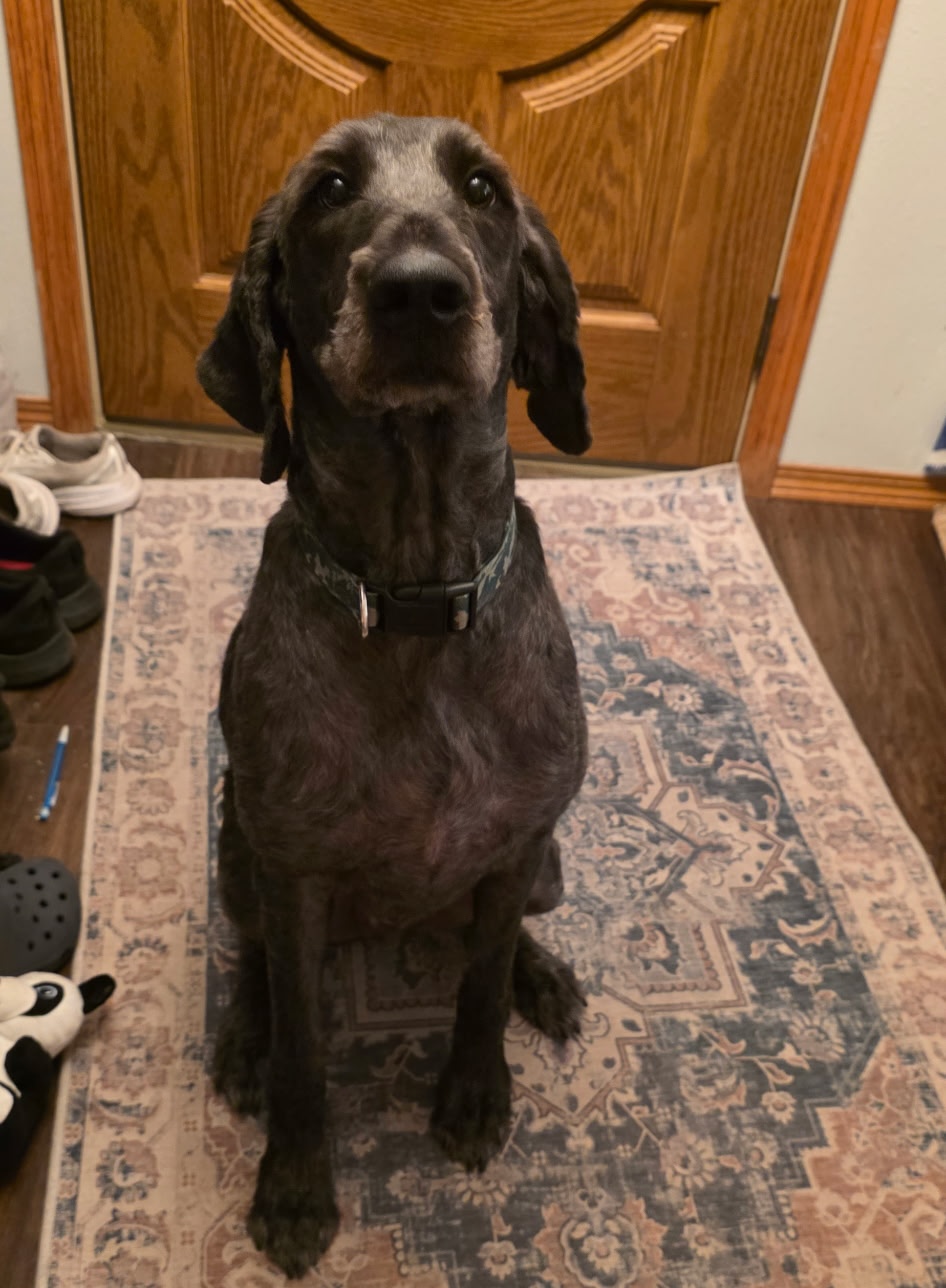 Vinnie 26-32 Photo