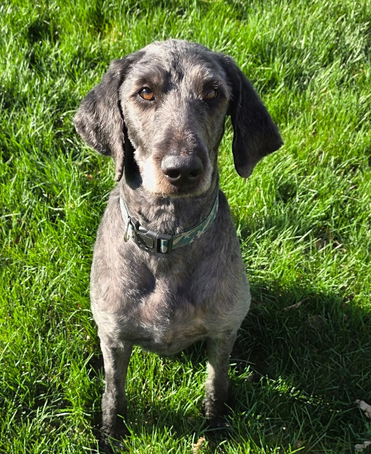 Vinnie 26-32 Photo
