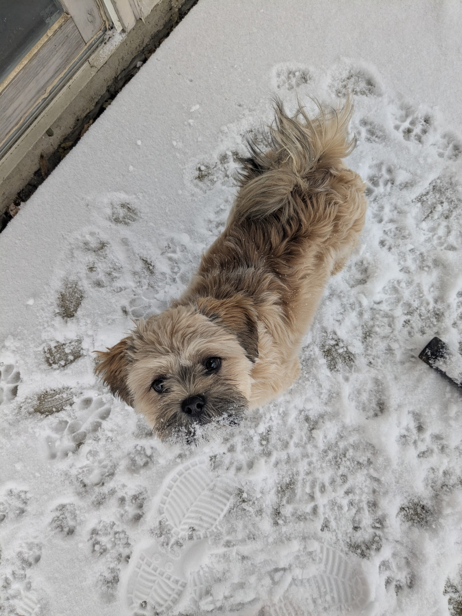 Garbanzo 25-31 Photo