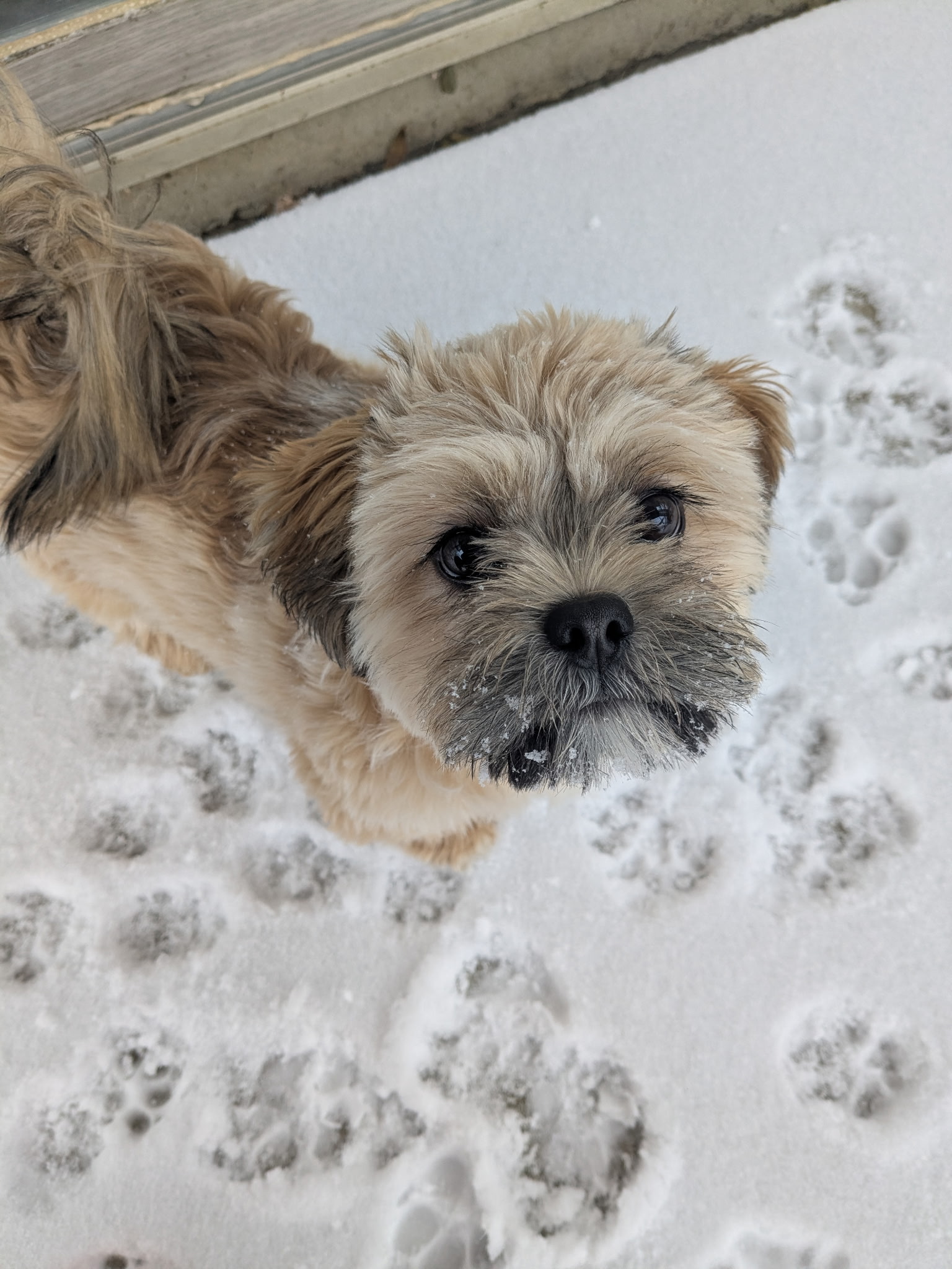 Garbanzo 25-31 Photo