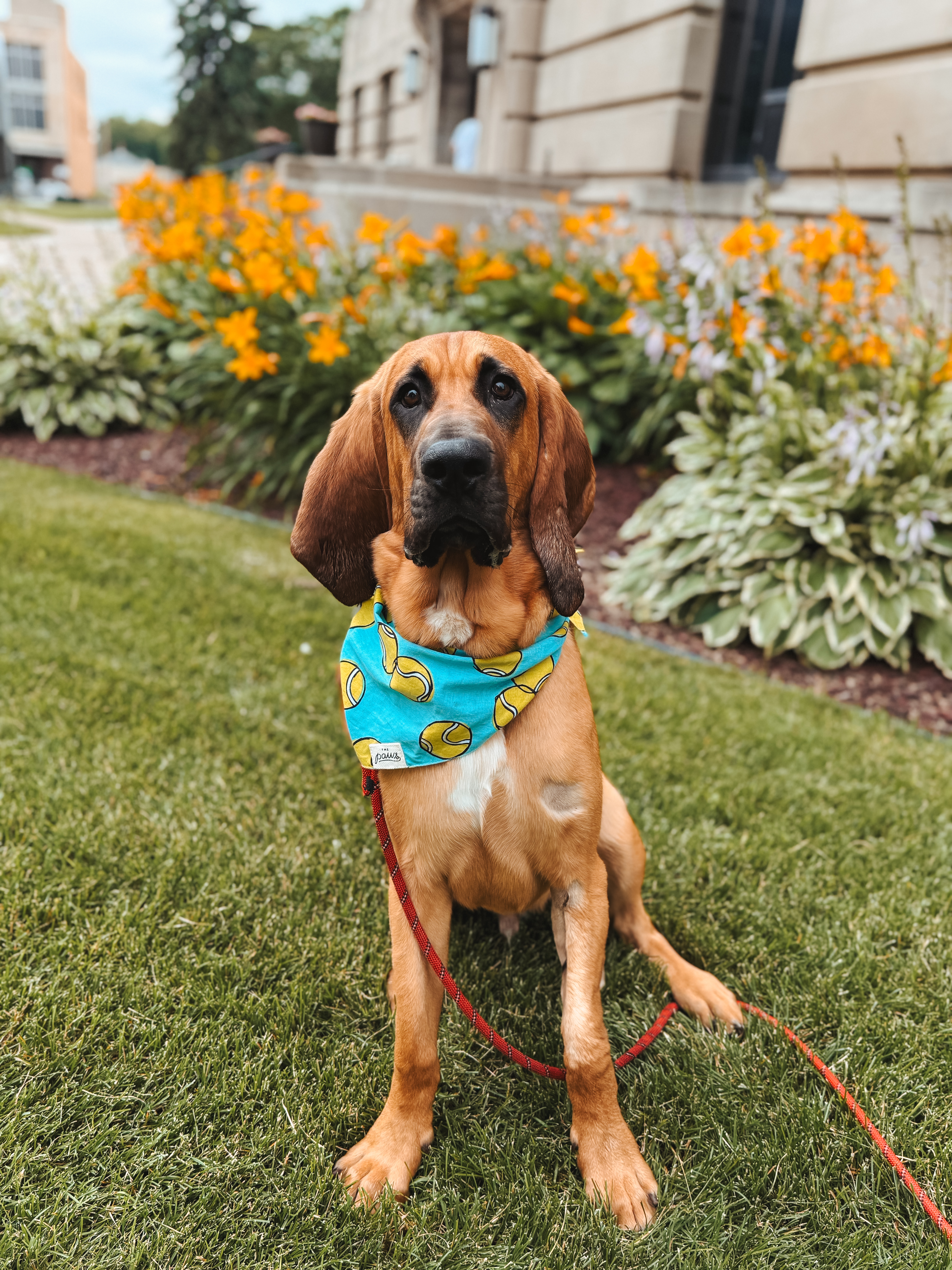 Duke Photo