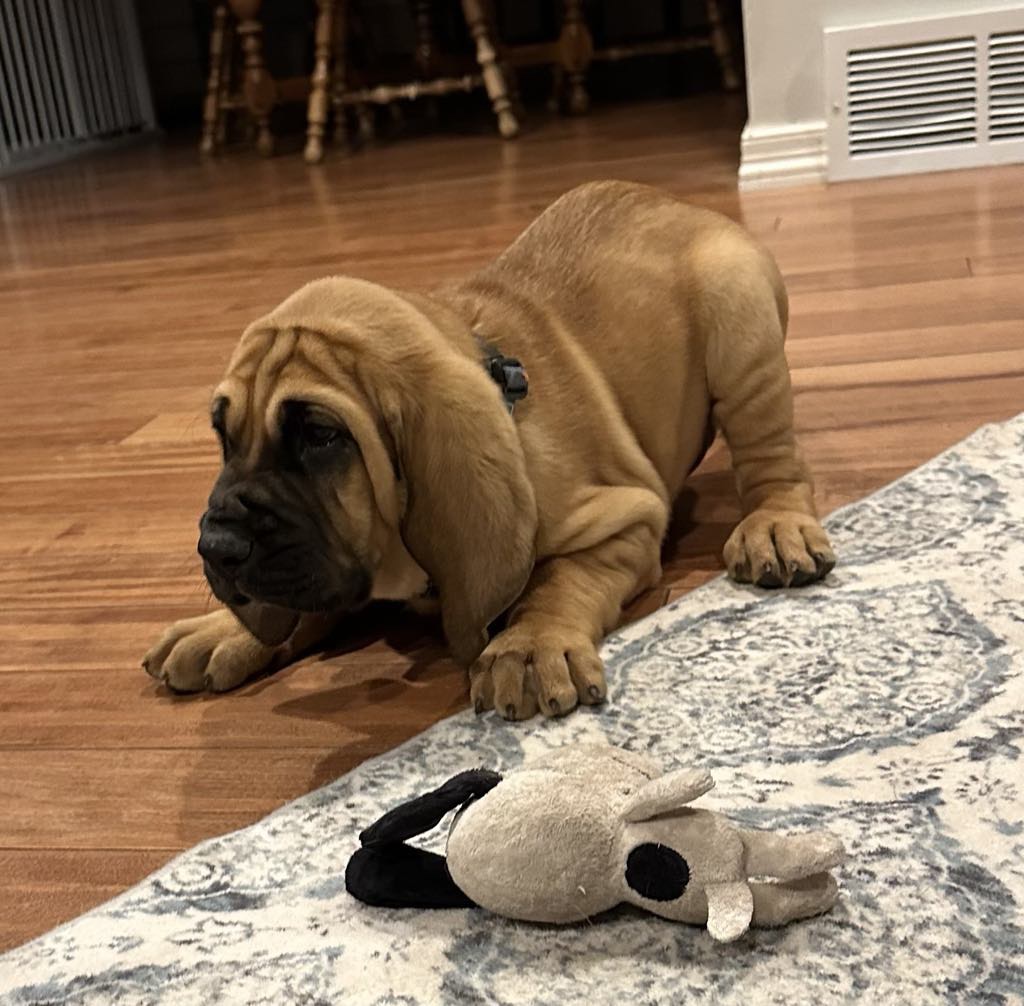 Duke Photo