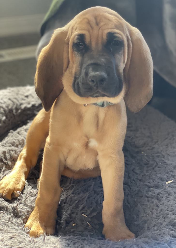 Earl Photo