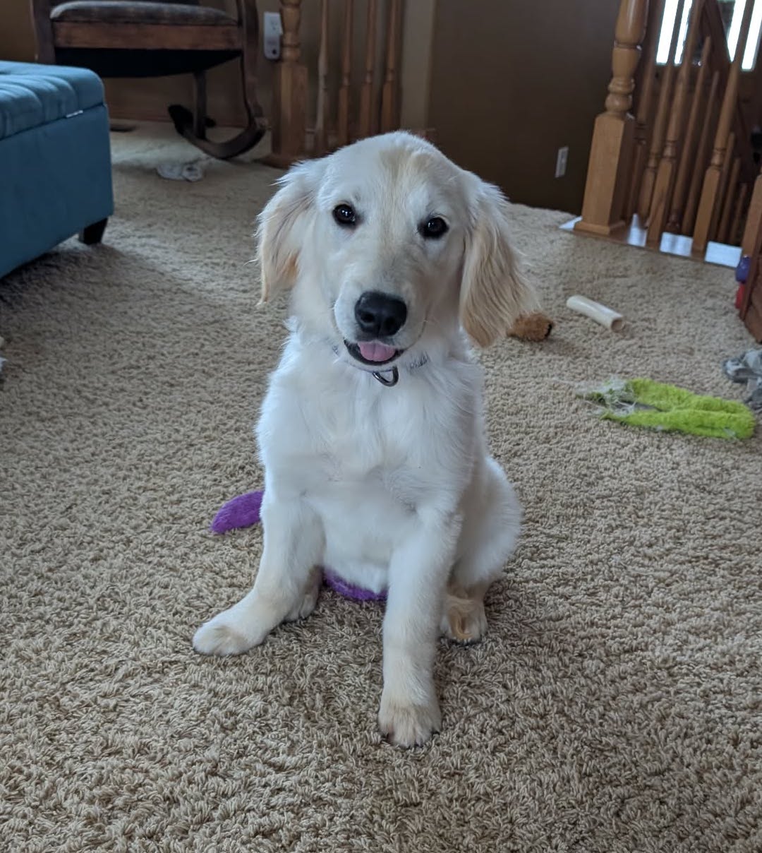 Sadie Mae 25-34 Photo