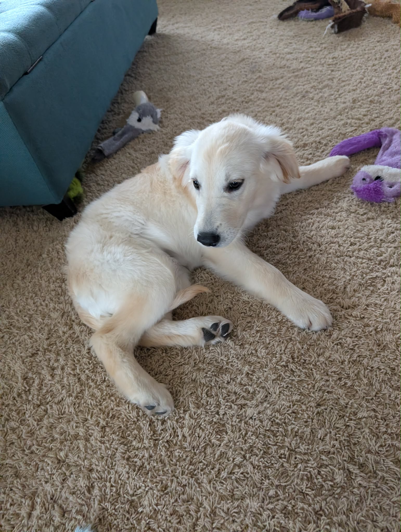 Sadie Mae 25-34 Photo