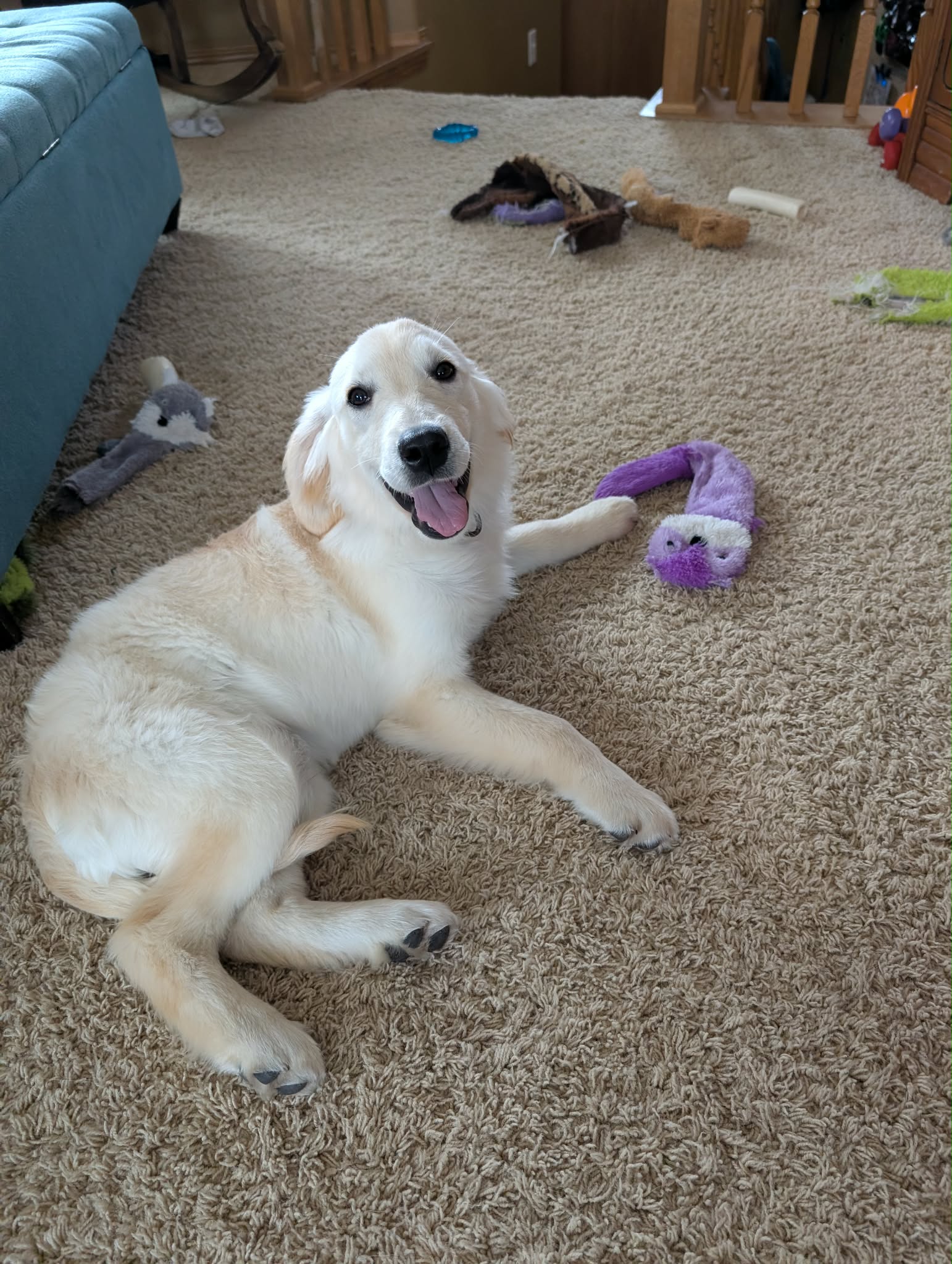 Sadie Mae 25-34 Photo