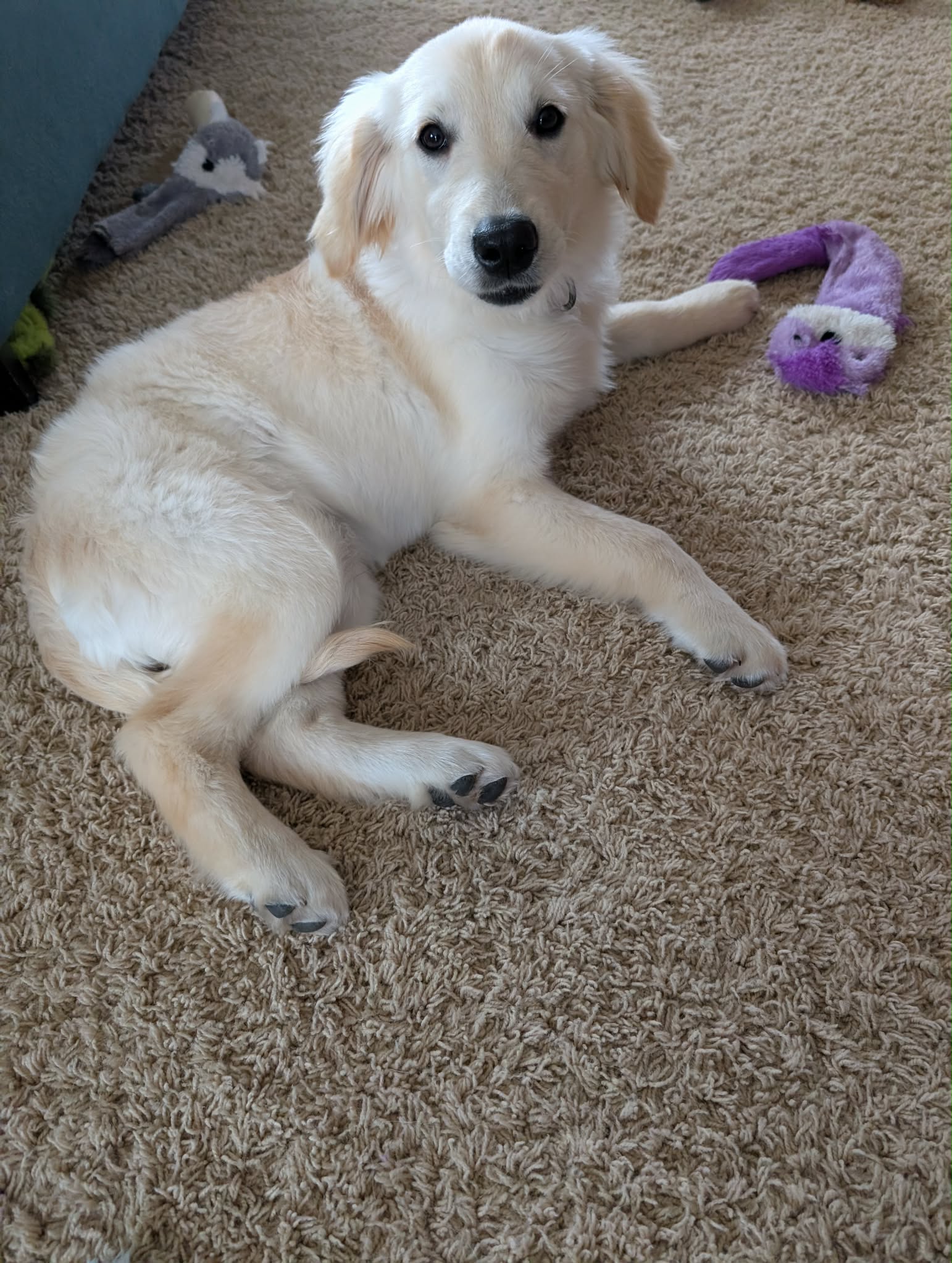 Sadie Mae 25-34 Photo