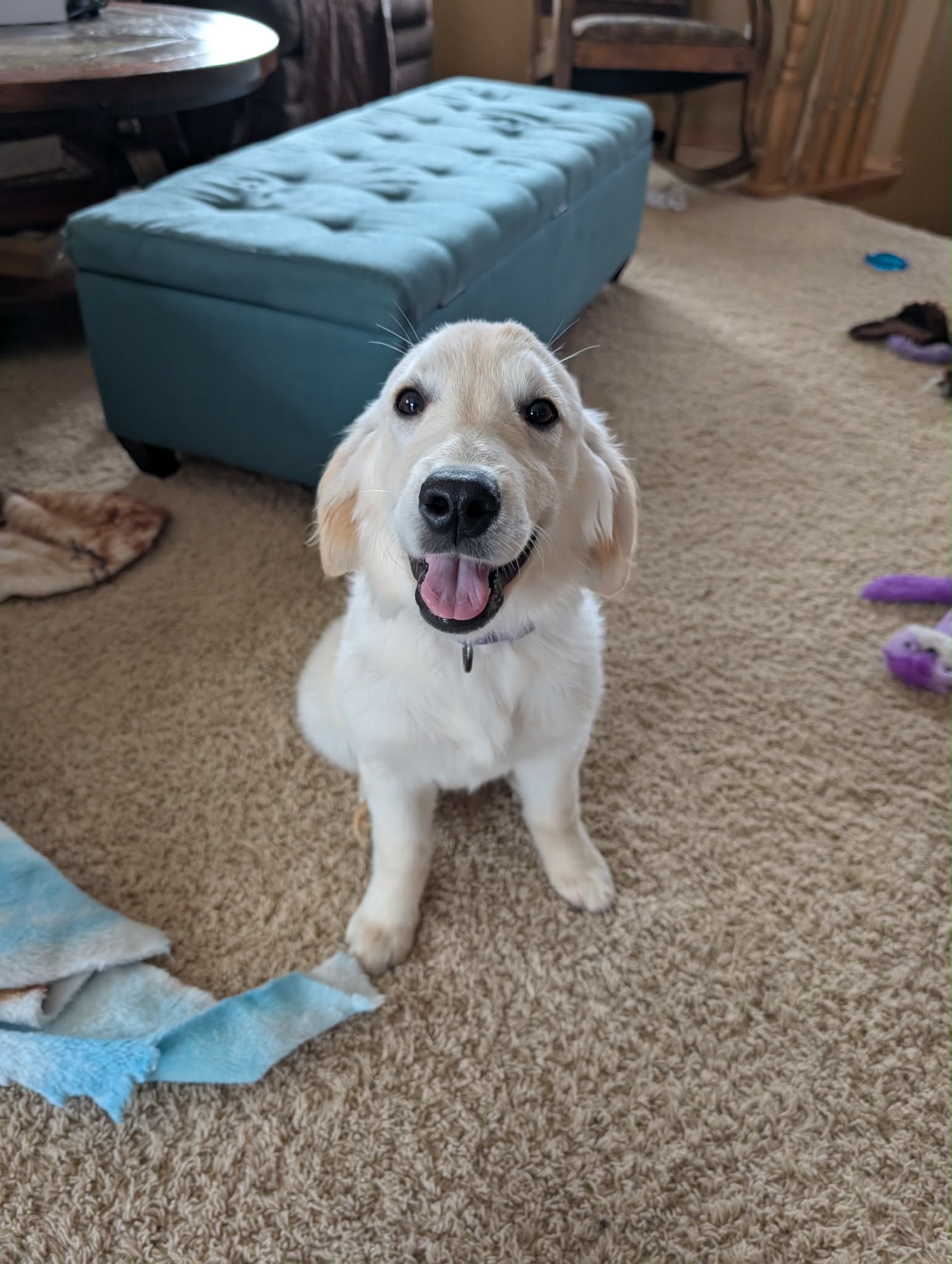 Sadie Mae 25-34 Photo