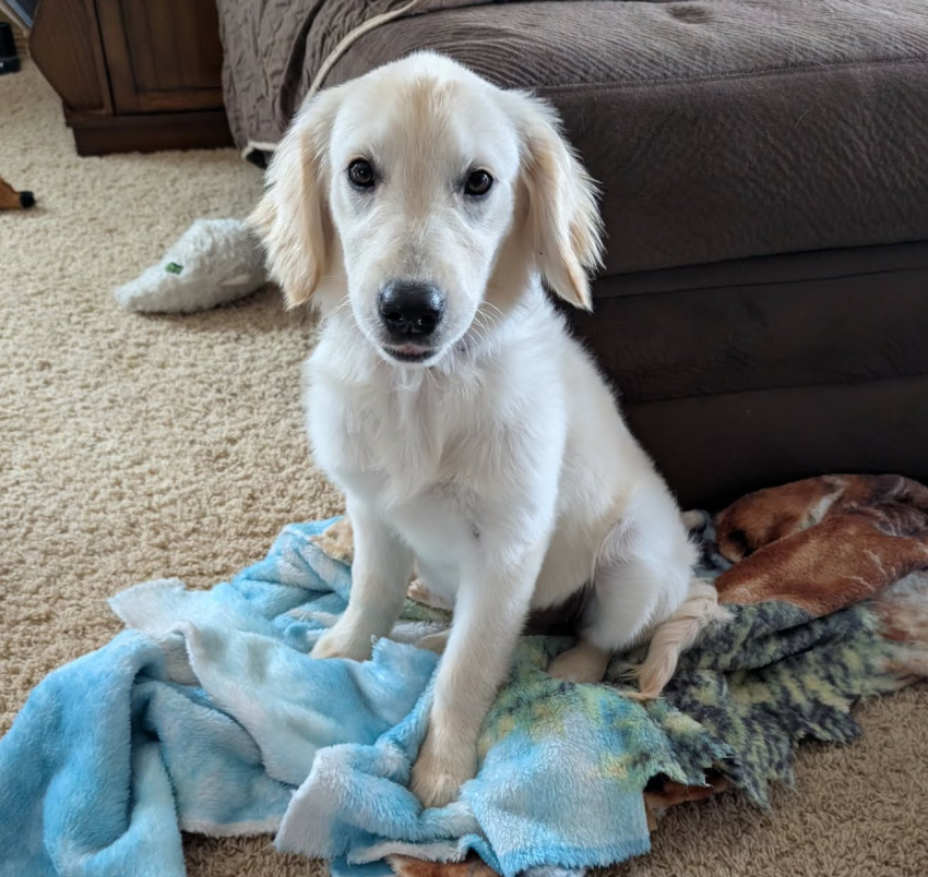 Sadie Mae 25-34 Photo