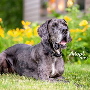 Grace Photo