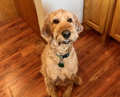 Max Teal Photo